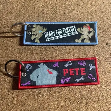 디즈니 드림스테이크플라이트 플라이트 택