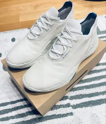 시착만 한 에코 BIOM H5 골프화 44