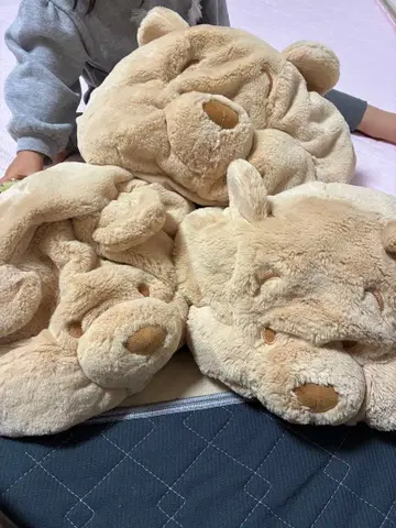 곰 봉제 인형 3개 세트 푸우 팬캡