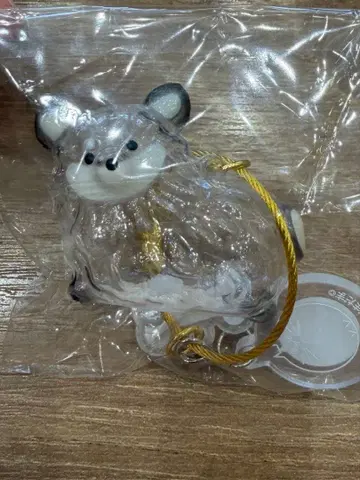 털뭉치 (치와와)