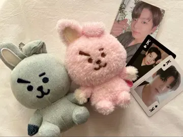[ 덤 포함 ] cooky 봉제 인형 키링 2개 세트