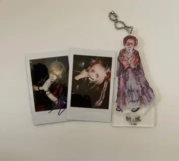 나방과 나비 아크릴 스탠드 폴라로이드