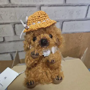 테디베어 푸들 테디베어 작가 일본 국내 작가