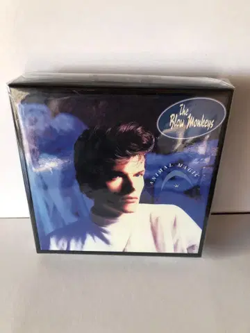 The Blow Monkeys 데스크 유니온 특전 BOX