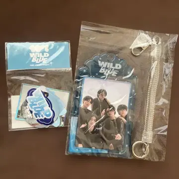 WILDBLUE 굿즈