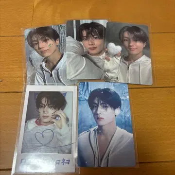 enhypen 제이 트레이딩 카드 묶음 판매