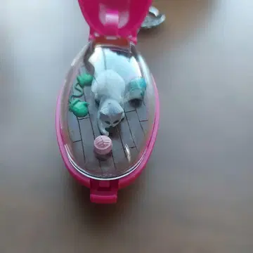 포켓 크리처 고양이 털실