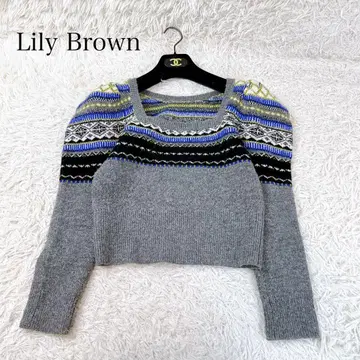 비품 릴리 브라운 자카드 니트 퍼프 슬리브 상의