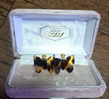 나비 모양 귀찌