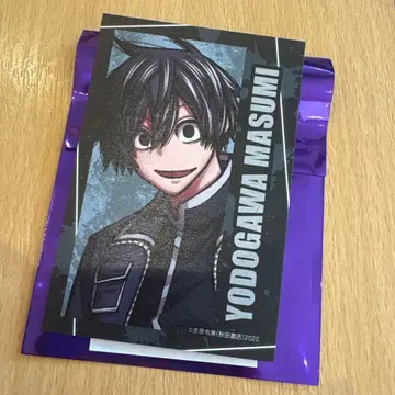 도겐안키 요도가와 마스미 폴라로이드 C107