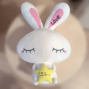 토끼 봉제 인형 LOVE