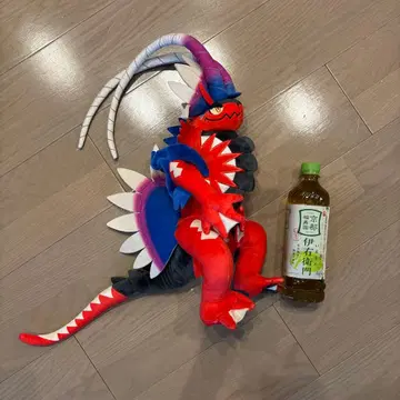 코라이돈 봉제 인형