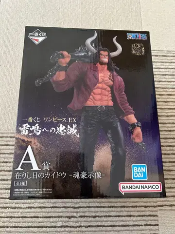 원피스 EX A상 카이도 피규어 뇌명에 대한 충성