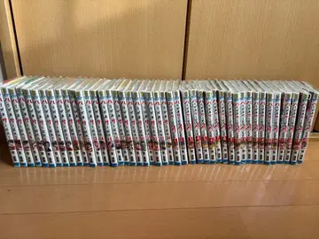 하리가네 서비스 1~24권 하리가네 서비스 ACE 1~20권