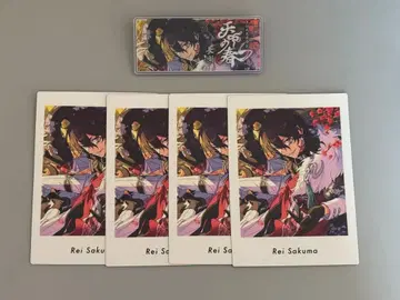 앙스타 파샤츠 버너 컬렉션 사쿠마 레이