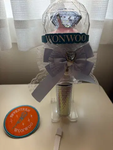 SEVENTEEN 비자선 원우 와펜 배지 세트