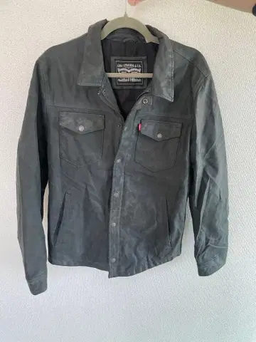 Levis Strauss & Co. 그레이 자켓