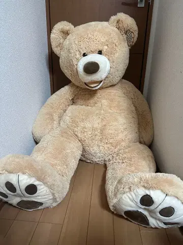 코스트코 곰 봉제 인형 53인치