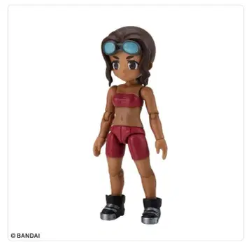 링크 트래블러스 메카닉의 언니 세트