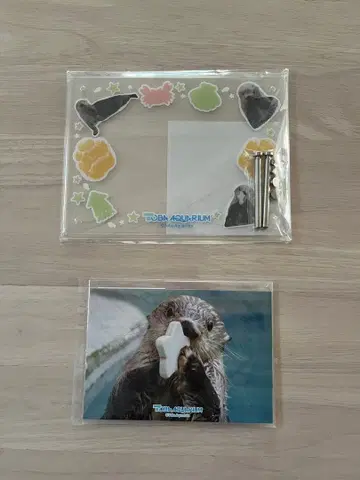 카푸 복권 토바 수족관 랏코 메이짱 복권 리턴즈 B상 키라 E상 완구