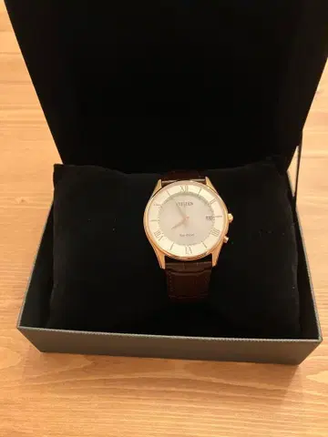 CITIZEN 아날로그 시계 골드/브라운