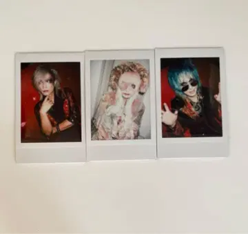 나방과 나비 폴라로이드