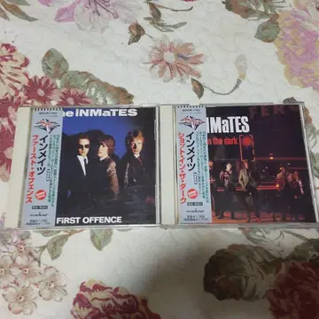 THE INMATES 중고 CD 2장 세트 일본 국내반 파블록 인메이츠