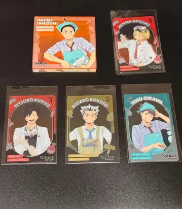 하이큐 BIG 오로라 블로키 기타 굿즈