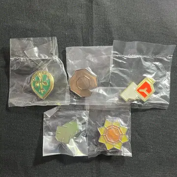 포켓몬 헬스장 배지 컬렉션