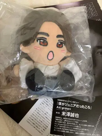 [ 증정 1만자 롱 인터뷰 ] 미사와 세이야 군 치비누이 하피누이