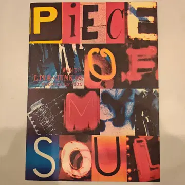 WANDS PIECE OF MY SOUL 투어 팜플렛