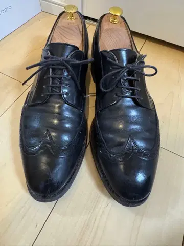 가죽 신발 윙팁 존스턴 머피