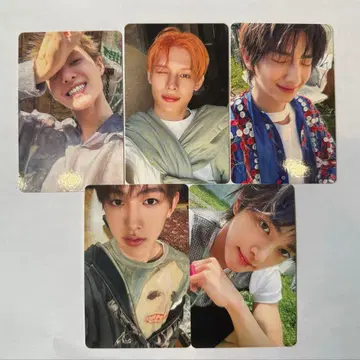 CORTIS 코르티스 Weverse 특전 트레이딩 카드