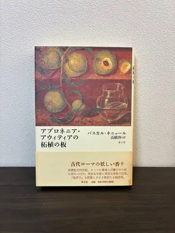 아프로네니아 아위티아의 황양목 판 파스칼 키냐르