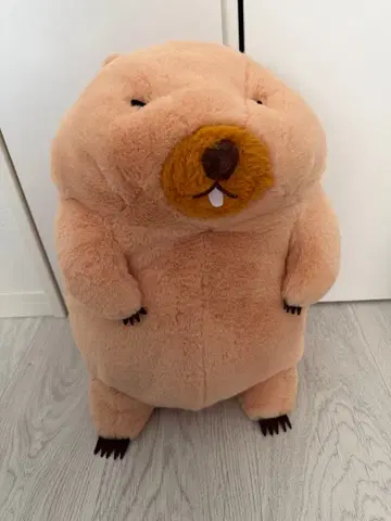 마모트 봉제 인형 보바 군 초 BIG