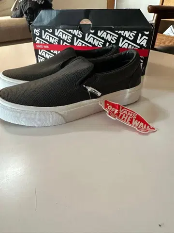 IENA 별주 VANS 블랙 슬립온
