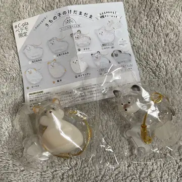 우리 아이 털뭉치 강아지 털뭉치 가챠 시바견 블랙 시프라