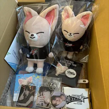 스트레이 키즈 IN 봉제 인형 포토 카드 굿즈 세트