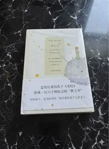 중국 어린 왕자