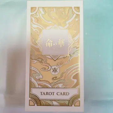 생명의 꽃 TAROT CARD FGO 타로 카드