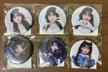 마스다 아야노 생일 축하 캔뱃지 6종 세트