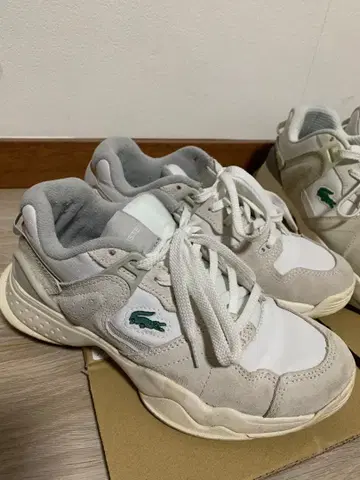 Lacoste 스니커즈 화이트/그레이 37