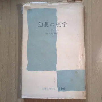 환상의 미학 루이 바스