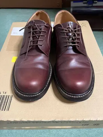 PADRONE 더비 스트레이트 팁 신발 42