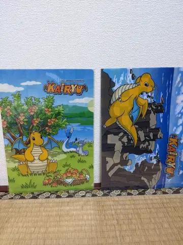 클리어 파일 세트 카이류 포켓몬 로컬Acts 후쿠이 포켓몬