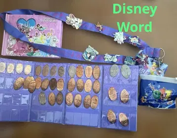 [ Disney World ] 캐릭터 코인, 핀 배지, 스트랩 세트