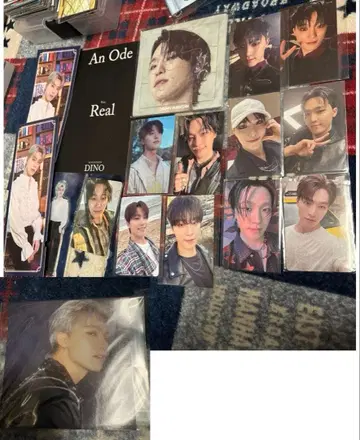 SEVENTEEN 디노 회장 한정판 9