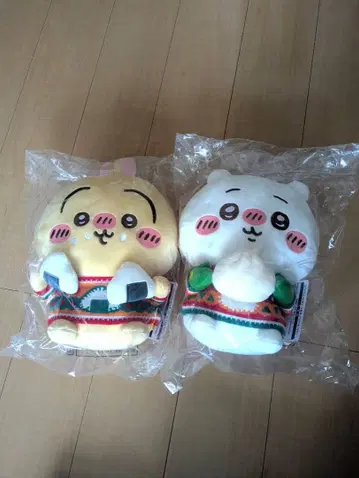 치이카와 에니마이 복권 2024