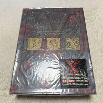 X JAPAN BEST OF BOX 완전 한정판