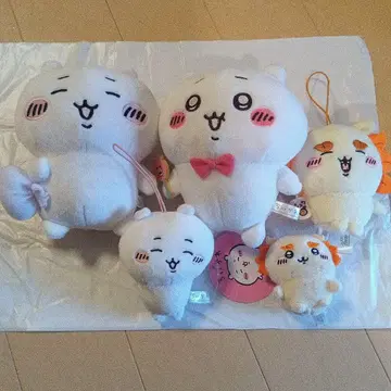 중고품 치이카와 시사